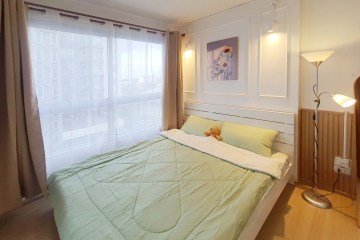 พลัมบางแค