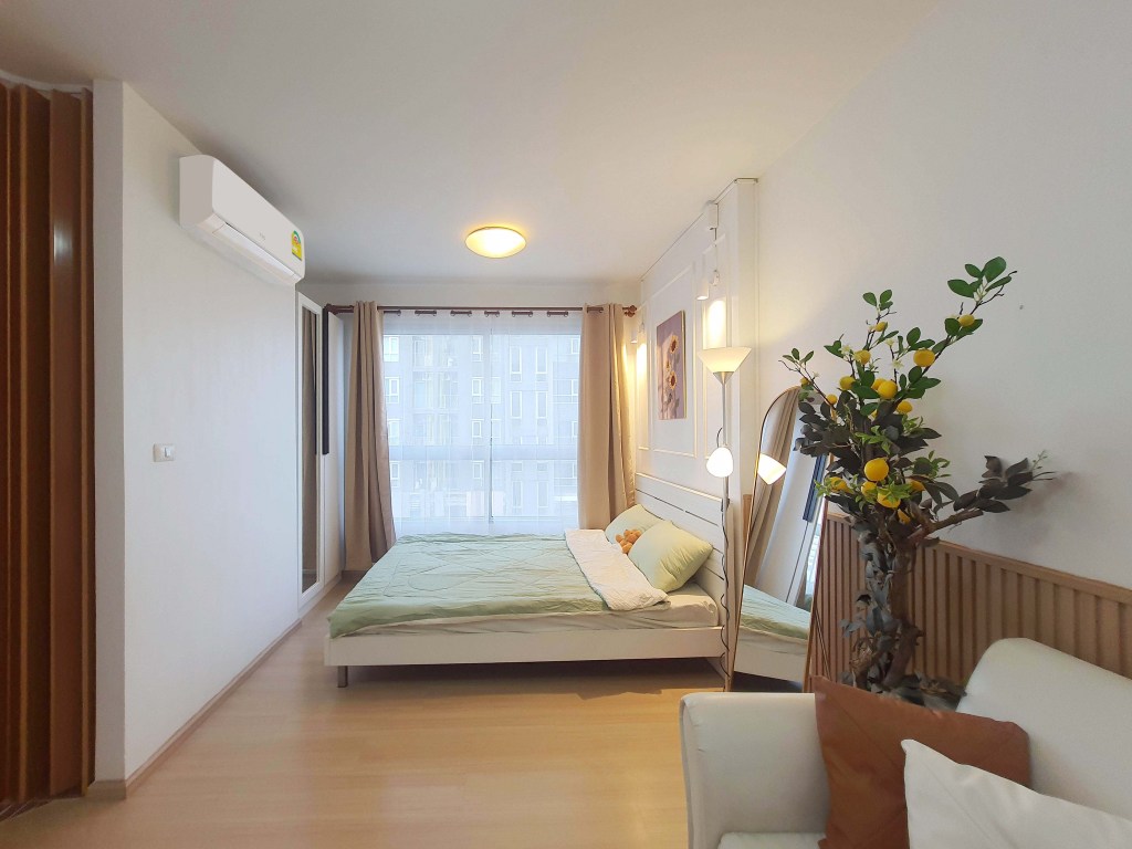 พลัมบางแค