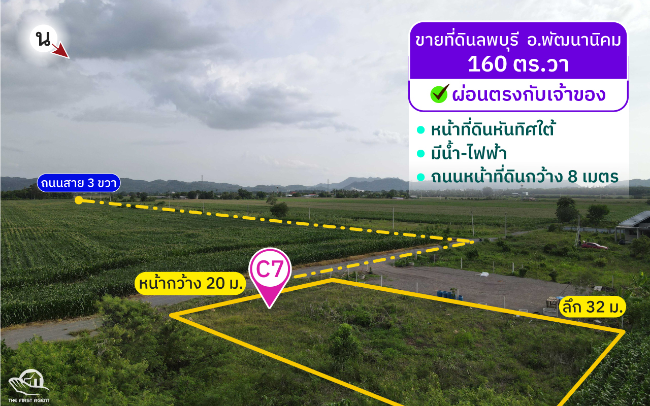 ที่ดินวิวเขาลพบุรี
