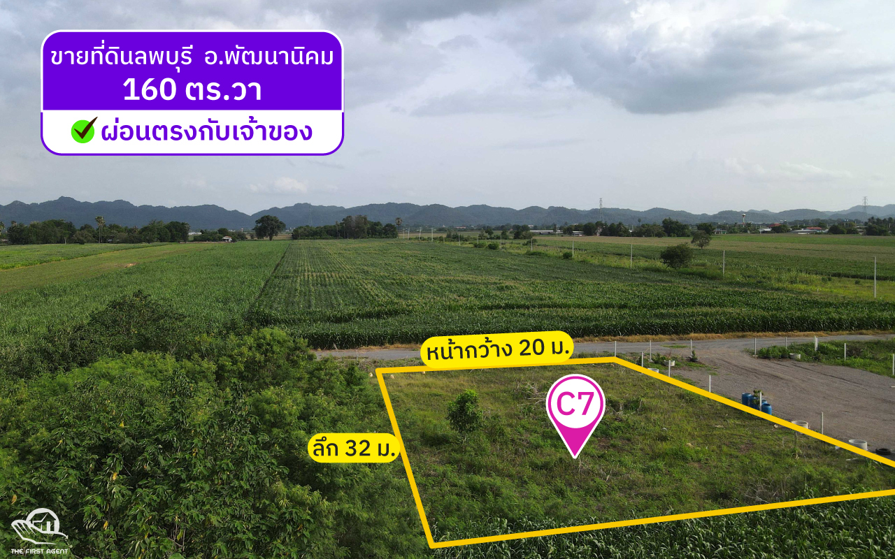 ที่ดินวิวเขาลพบุรี