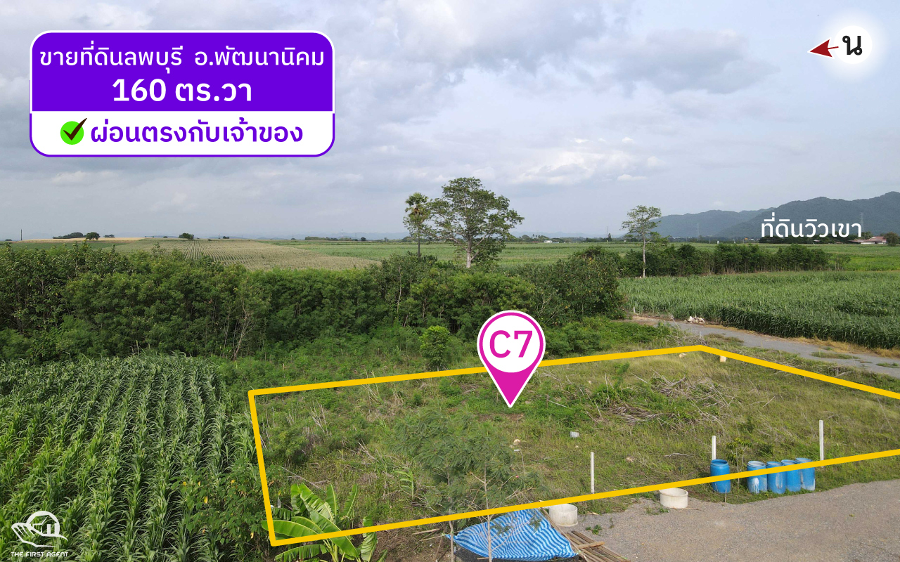 ที่ดินวิวเขาลพบุรี