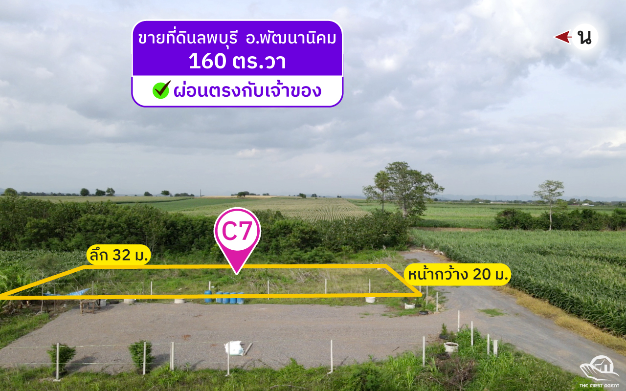 ที่ดินวิวเขาลพบุรี